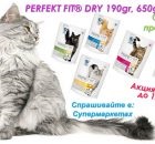 Cum de a calcula cantitatea zilnică de hrană de îngrijire kbr de câine pentru animale de companie (calculat) Cum de a calcula cantitatea zilnică de mâncare pentru câini de îngrijire pentru animale de companie kbr