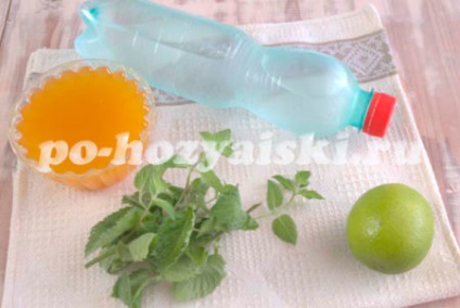 Cum de a face un Mojito non-alcoolice la domiciliu (condiții) Cum de a face un Mojito non-alcoolice la domiciliu
