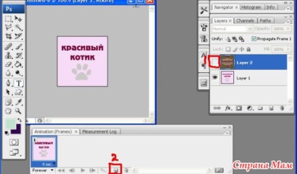 Cum sa faci un banner intermitent în Photoshop - Photoshop (banner) Cum sa faci un banner intermitent în Photoshop - Photoshop