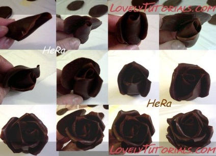 Cum sa faci o rozetă trandafir de ciocolata (Chocolate Rose) Cum sa faci o rozetă trandafir de ciocolata