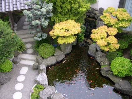 Cum de a face propriile mâini grădină japoneză (foto) (Japoneză) Cum de a face propriile mâini Japanese Garden (fotografii)