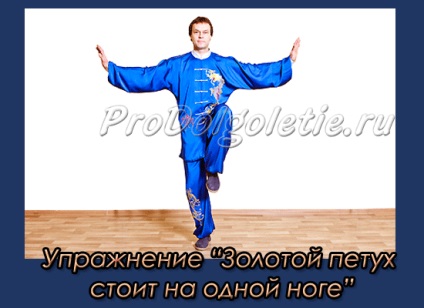 Ca spori canalul renal, timp de 5 minute pe zi, medicina orientală, întinerire și longevitate (canal de rinichi) Ca spori canalul renal, timp de 5 minute pe zi, medicina orientală, de întinerire și longevitate