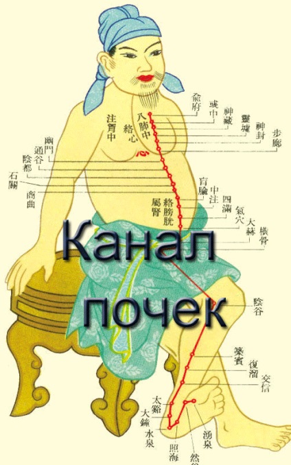 Ca spori canalul renal, timp de 5 minute pe zi, medicina orientală, întinerire și longevitate (consolidarea) Ca spori canalul renal, timp de 5 minute pe zi, medicina orientală, de întinerire și longevitate