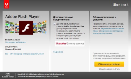 Cum se instalează Flash Player (Adobe Flash Player) (video) Cum se instalează Flash Player (Adobe Flash Player)