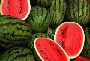 Cum să crească pepeni (pepeni) Cum să crească pepeni