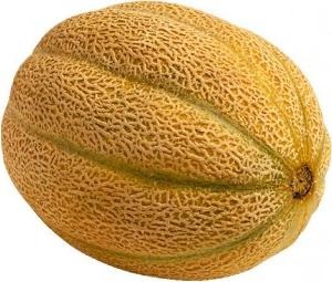 Cum să crească pepeni (pepeni) Cum să crească pepeni
