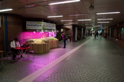 Cum să trăiască în Coreea de Sud (Metro are foarte) Cum de a trăi în Coreea de Sud
