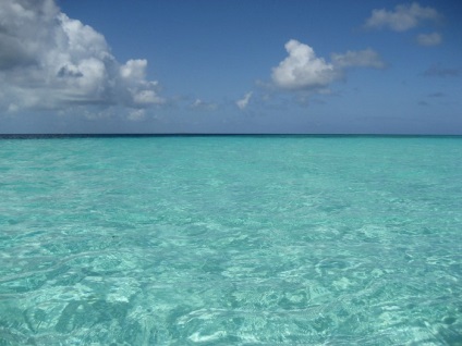 fotografie Caraibe (colire Marea Caraibelor) fotografie Caraibe