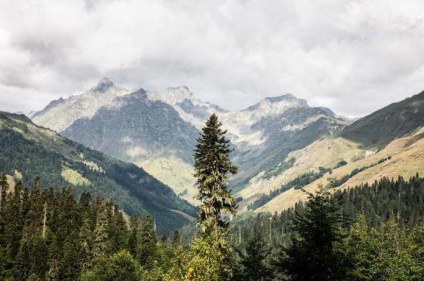 Clima Abaziei caracteristici lunare, recomandări și comentarii turiști (turiști) Abkhazia climatice caracteristici lunare, recomandări și recenzii