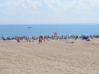 Conica Island din New York (insula) Conica Island din New York