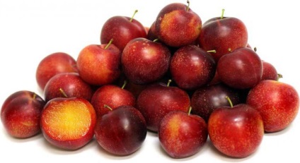 Conserve de prune - rapid, simplu și gustoase (conservare) Conserve de prune - rapid, simplu și gustos