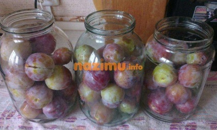 Conserve de prune - o rețetă pentru iarnă la domiciliu (iarna) Conserve de prune - o rețetă pentru iarnă acasă