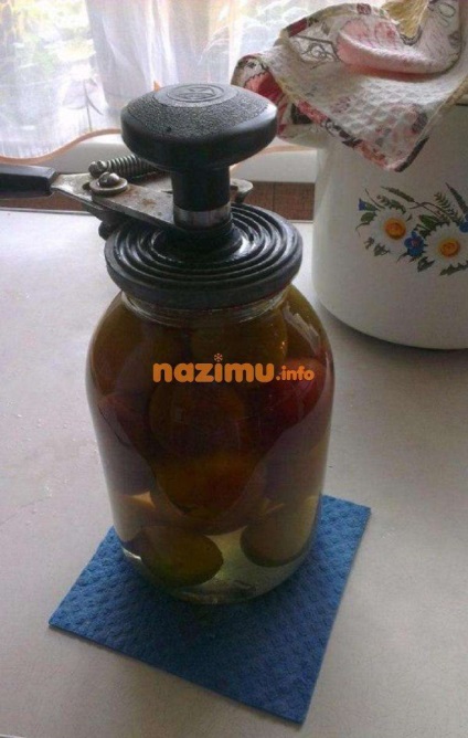 Conserve de prune - o rețetă pentru iarnă la domiciliu (iarna) Conserve de prune - o rețetă pentru iarnă acasă