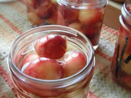 rețete Canning pentru prune de iarnă (prune) conserve de prune pentru rețete de iarnă