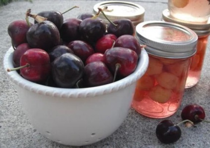 rețete Canning pentru prune iarna (iarna) conserve de prune pentru rețete de iarnă
