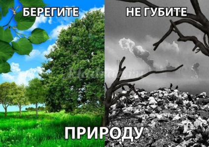 Lecții Sinopsis pe tema „origini“ (Răspunsuri baieti Profesor) Lecții Sinopsis pe tema „origini“