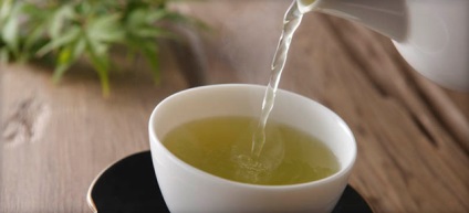 Calamus rădăcină proprietăți și contraindicații medicinale, aplicare în medicină, cum să fiarbă (foto) (terapeutică) Calamus rădăcină proprietăți și contraindicații medicinale, aplicare în medicină, cum să fiarbă (foto)