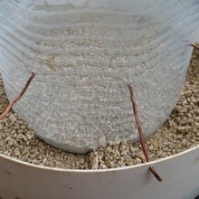Feeder pentru puii cu propriile lor mâini, cu o fotografie alimentatoare de pui și dispozitive tip de material plastic (foto) Feeder pentru puii cu propriile lor mâini, cu o fotografie alimentatoare de pui și adapatorilor din plastic