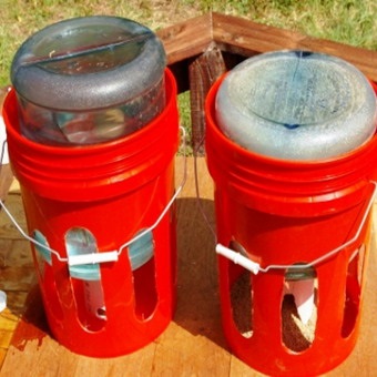 Feeder pentru puii cu propriile lor mâini, cu o fotografie alimentatoare de pui și dispozitive tip de material plastic (alimentator) Feeder pentru puii cu propriile lor mâini, cu o fotografie alimentatoare de pui și adapatorilor din plastic
