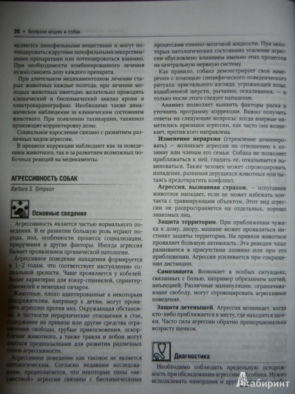 boli pisici persane (boli ale urechii la pisici se transmite la om) Boala pisică persană