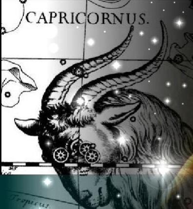 Capricorn casatorit (Capricorn casatorit) Capricorn căsătorit