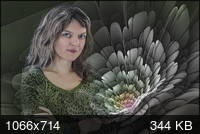 efect frumos pentru o fotografie (util Irina mulțumiri) efect frumos pentru fotografie