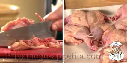 Pui în sos de rodie (pui în sos de rodie) Pui în sos de rodie