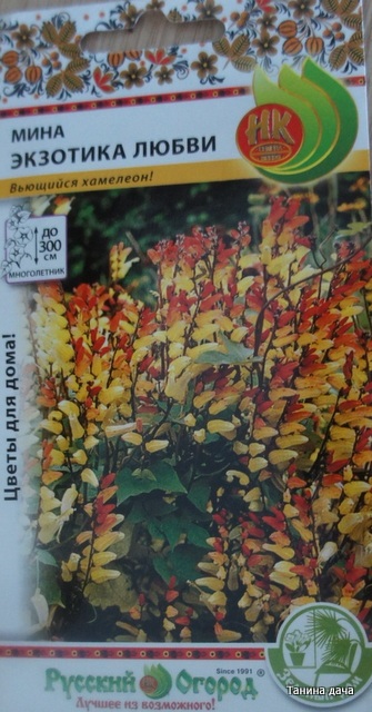 lamă Kvamoklit (mină) (kvamoklit) lamă Kvamoklit (a mea)