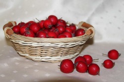 Tratamentul aritmia la domiciliu (aritmie) Tratamentul aritmia la domiciliu