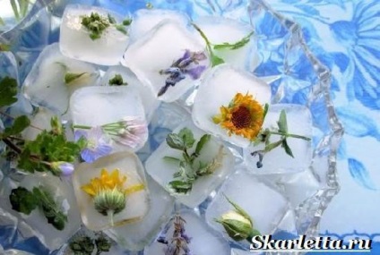 Se confruntă cu gheata (cuburi de gheata pentru fata) Ice Face