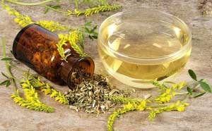 Medicinal trifoi plantelor proprietăți și contraindicațiile utile (plante) plante medicinale trifoi proprietăți utile și contraindicații