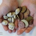 Finanțe personale! 5 reguli cheie de alfabetizare financiară! (Pentru a gestiona banii) Finanțe personale! 5 reguli cheie de alfabetizare financiară!