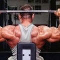 Cele mai bune exercitii pentru umeri (delta) (beam deltoid Reacționează) Cele mai bune exercitii pentru umeri (delta)