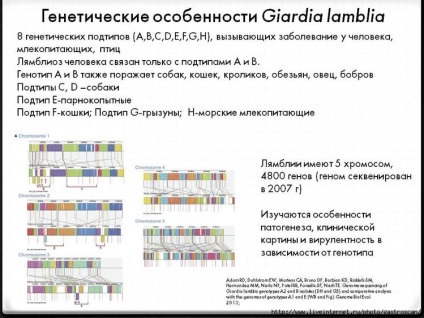 Giardia intestinală (giardia intestinalis) (intestinal) Giardia intestinală (giardia intestinalis)