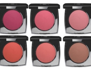 Instrumente de make-up artist preferat Elena Krygin (blog Olga Glare) Instrumente de make-up artist preferat Elena Krygin