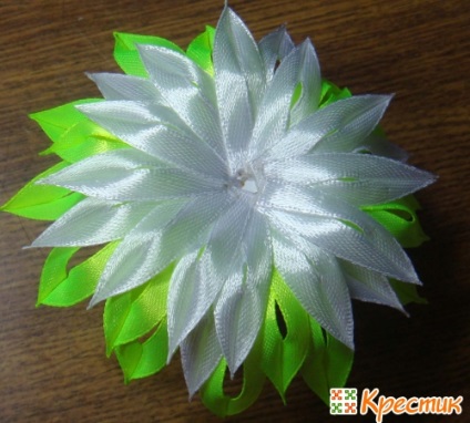 Master class flori kanzashi de la o panglică îngustă cu mâinile (master-class) Maestrul flori clasa kanzashi de bandă îngustă, cu mâinile lor