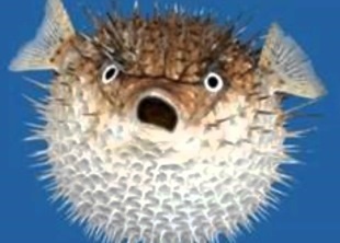 Flatulență (balonare) cauze, simptome, tratament, acasă căi de atac (abdomen) Flatulența (balonare) cauze, simptome, tratament, acasă căi de atac