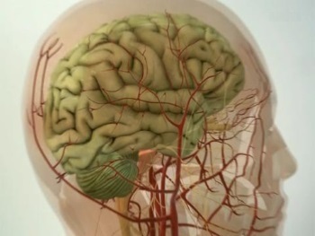 Diagnosticul IRM a vaselor cerebrale (angiografie) - Descrierea și adresele de clinici (nave) Diagnosticul IRM a vaselor cerebrale (angiografie) - Descrierea și adresele clinici