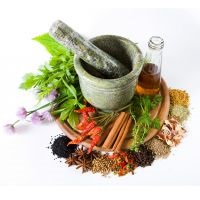 Medicina tradițională pentru pierderea în greutate (slăbire medicina populară) Medicina tradițională pentru pierderea în greutate
