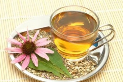Echinacea Tinctura - indicatii pentru 1 (perfuzie) Echinaceea Tinctura - indicații de utilizare 1