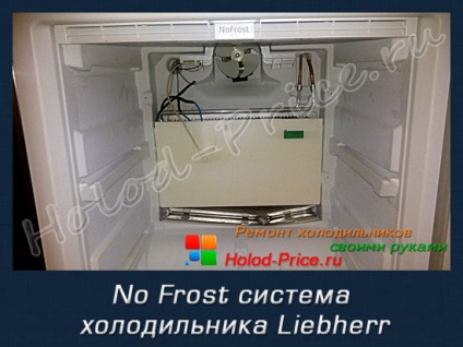 Nr îngheț - ceea ce avantajele și dezavantajele frigidere, repararea frigidere cu propriile lor mâini (articole utile) Nr îngheț - ceea ce avantajele și dezavantajele frigidere, repararea de frigidere cu propriile lor mâini