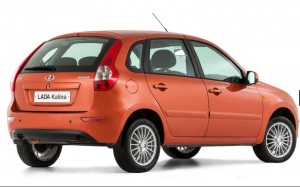 Noua Lada Kalina 2 (Viburnum) Noua Lada Kalina 2