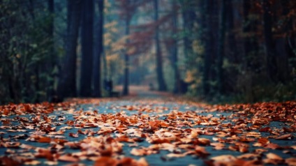 Vacanță noiembrie 2016 (Turcia și Egipt) Vacanța de noiembrie 2016