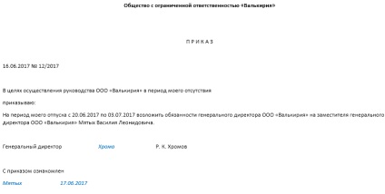 Directorul general Exemplu de comandă vacanță (probă) Exemplu de comanda de închiriere Director General