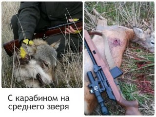 Prezentare generală și caracteristici ale celor mai populare vânători de pe piața internă cu puști video top-3 (1,498 ușor scurtată) Prezentare generală și caracteristici ale celor mai populare vânători de pe piața internă, cu partea de sus puști video 3