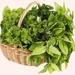 Purificarea organismului din zguri de plante medicinale (ierburi Purificare organism) Curatarea organismului de toxine ierburi