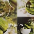 Castraveți bulgară, să pregătească gustoase (castravete) Castraveți în bulgară, pregătirea delicios