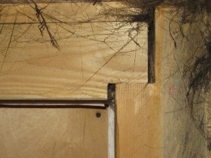 Okosyachka, un blog despre construcția (clădire) Okosyachka, un blog despre construcția