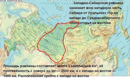 Descrierea Câmpiei Siberian Vest - Siberia de Vest, viața mea de zi cu zi