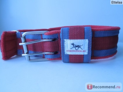 Guler strongdog - «decor util și atractiv pentru dumneavoastră preferat (strongdog) Guler strongdog - «decor util și atractiv pentru animalele de companie